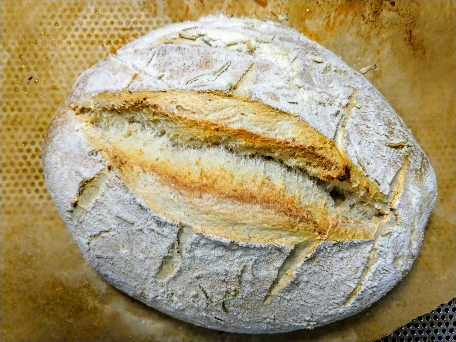 bread machine sourdough